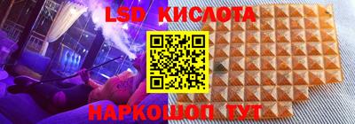 PSILOCYBIN Донской