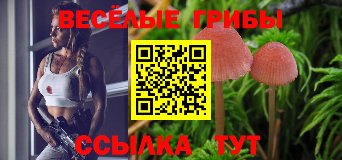 Галлюциногенные грибы мухоморы  Псилоцибиновые грибы прущие грибы  Минусинск  Вход с VPN 